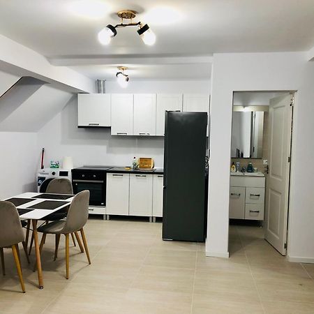 New And Modern Apartments In Villa, Near City Center M36 Timişoara Buitenkant foto