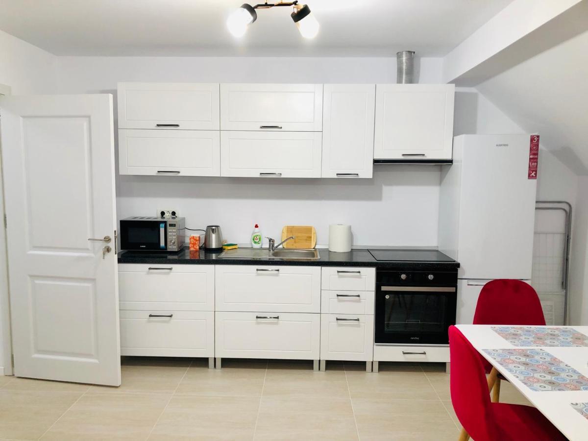 New And Modern Apartments In Villa, Near City Center M36 Timişoara Buitenkant foto