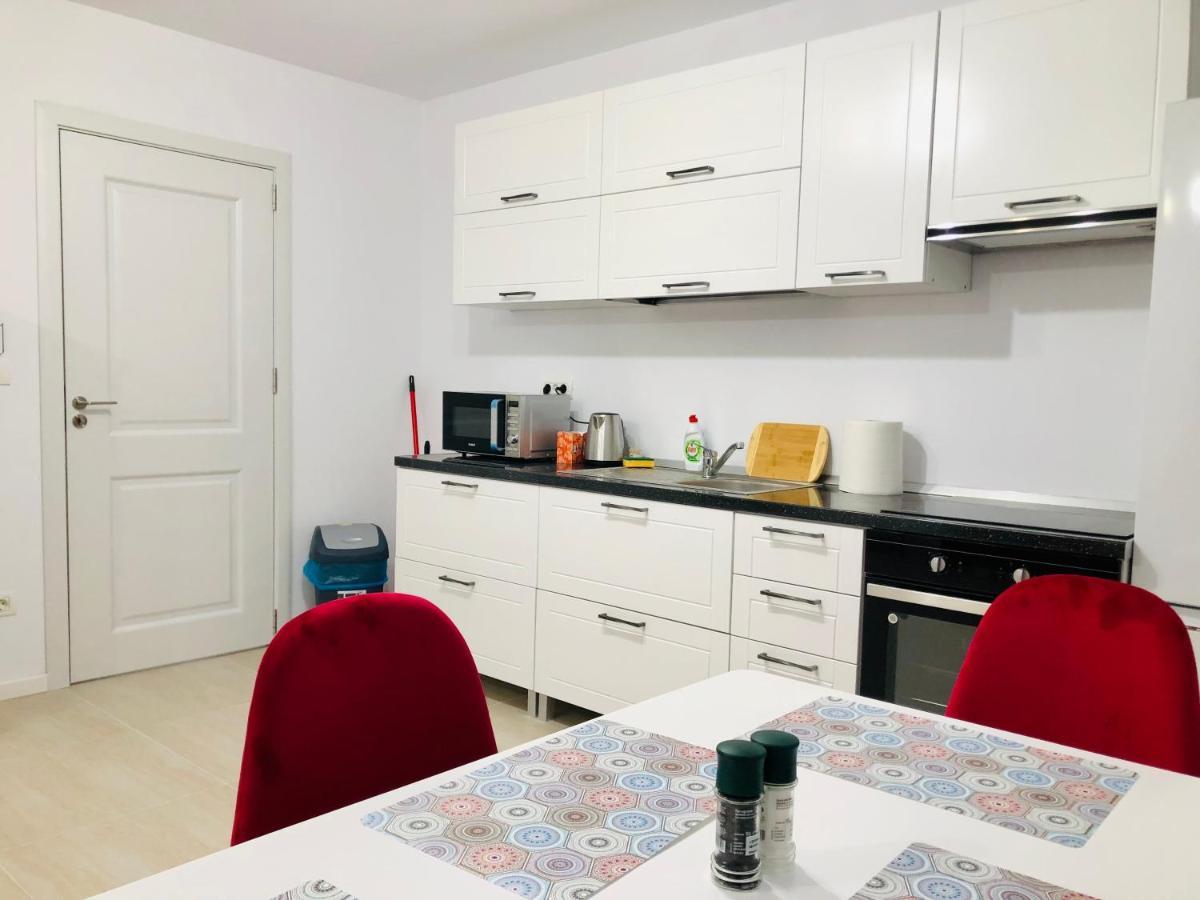 New And Modern Apartments In Villa, Near City Center M36 Timişoara Buitenkant foto