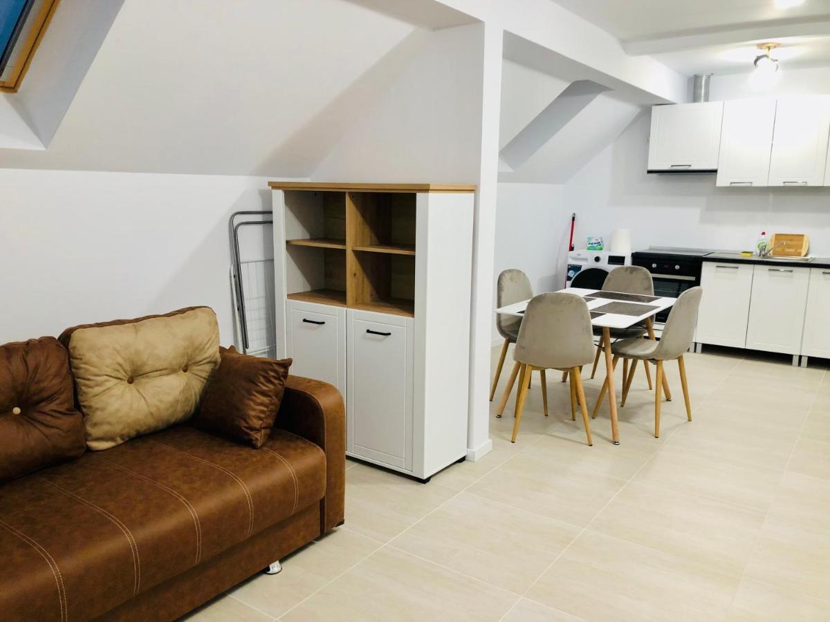 New And Modern Apartments In Villa, Near City Center M36 Timişoara Buitenkant foto