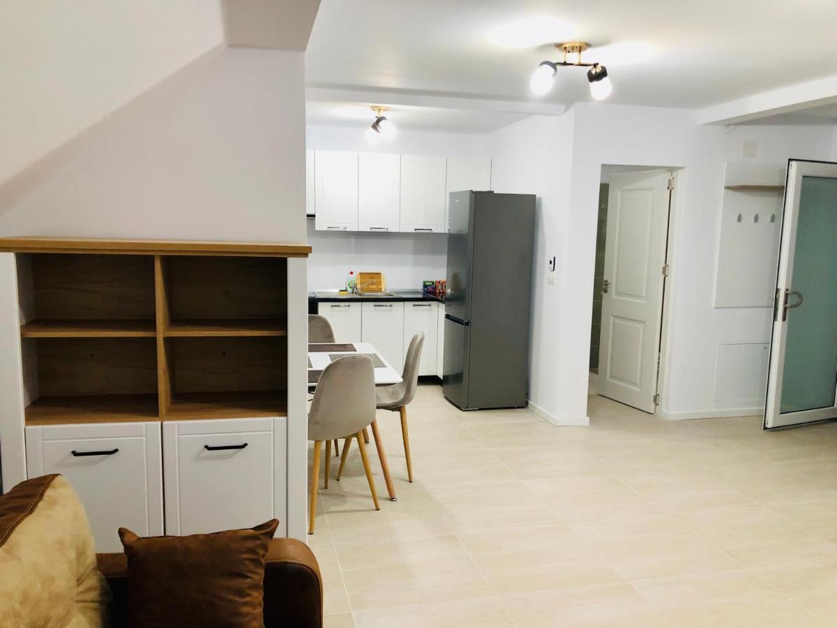 New And Modern Apartments In Villa, Near City Center M36 Timişoara Buitenkant foto