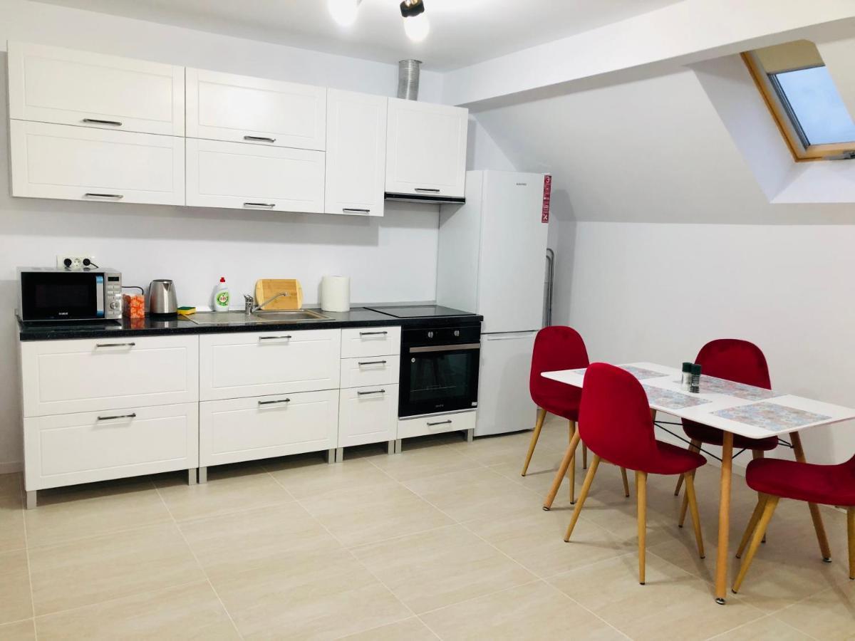 New And Modern Apartments In Villa, Near City Center M36 Timişoara Buitenkant foto