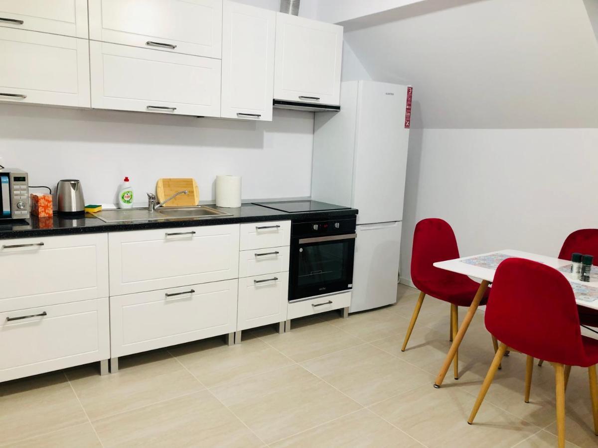 New And Modern Apartments In Villa, Near City Center M36 Timişoara Buitenkant foto