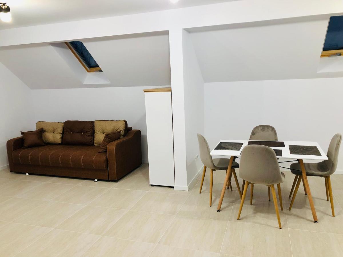 New And Modern Apartments In Villa, Near City Center M36 Timişoara Buitenkant foto