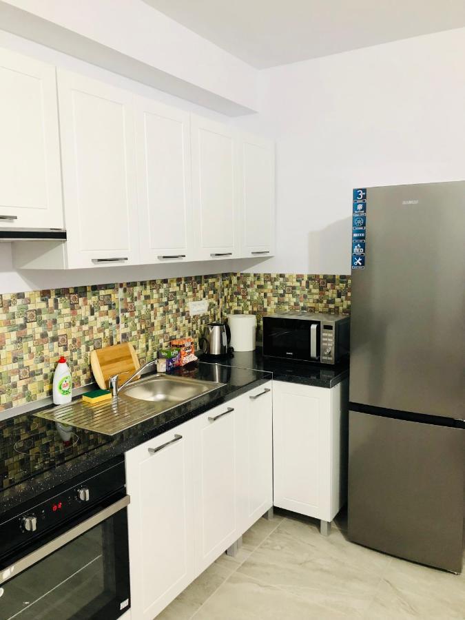 New And Modern Apartments In Villa, Near City Center M36 Timişoara Buitenkant foto